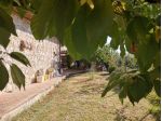 Casale in vendita a Colle di Val d'Elsa 220 mq  Rif: 1277290