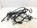 PIAGGIO LIBERTY 4T RST 50 CAVI CABLAGGIO MATASSA IMPIANTO ELETTRICO 2004 C42200
