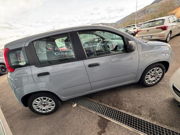 FIAT Panda 1.0 FireFly S&S Hybrid rif. 23452760 - Foto 6