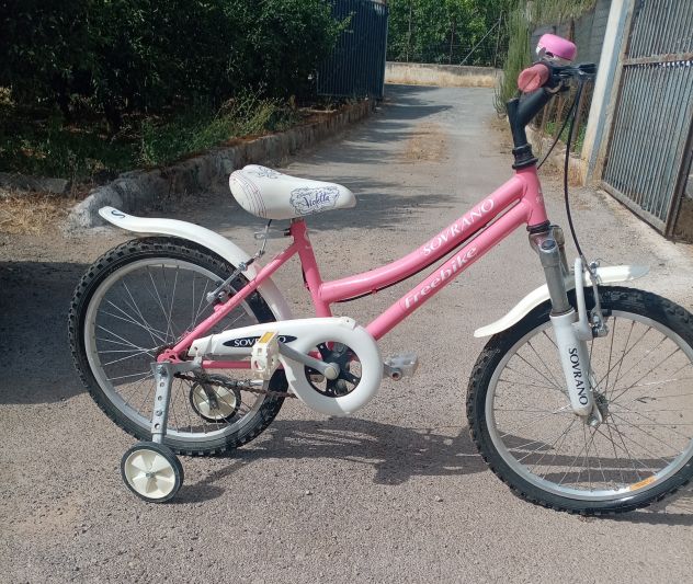 bicicletta