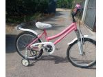 bicicletta