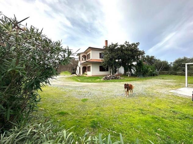 Colonica in vendita a Cecina 400 mq Rif: 1215949 - Foto 3
