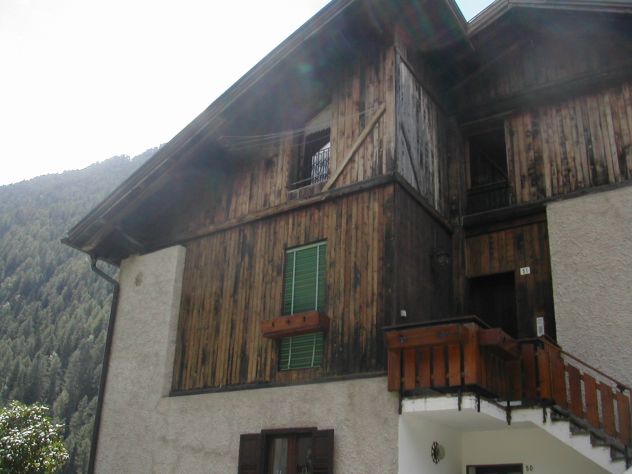 AFFITTO APPARTAMENTO PER VACANZA LUGLIO AGOSTO IN VAL DI RABBI (TN) - Foto 3