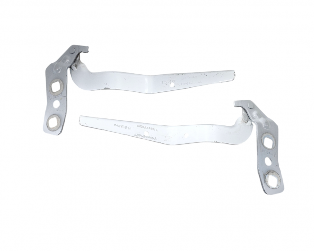 CERNIERE COFANO ANTERIORE DX E SX FORD Kuga Serie (DFK) LJ6B-S16800-AB (19)