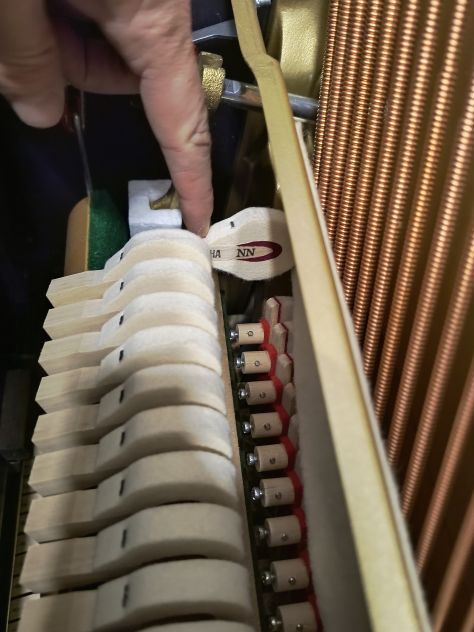 Pianoforte Yamaha P121 seminuovo con trasporto e panca - Foto 2