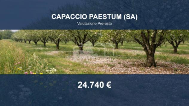 Immobile in asta di 5799 m² in vendita a Capaccio Paestum