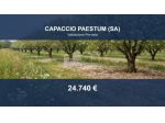 Immobile in asta di 5799 m² in vendita a Capaccio Paestum