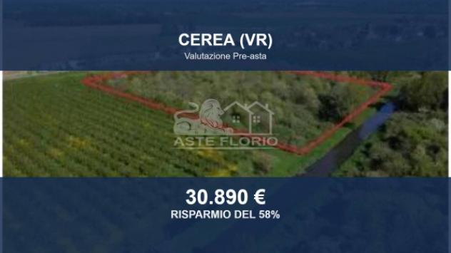 Immobile in asta di 29309 m² in vendita a Cerea