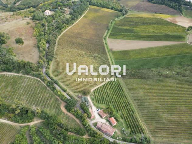 PODERE AGRICOLO DI CIRCA HA 31 OLTRE A CORTE CON CASA COLONICA E SERVIZI - Foto 11