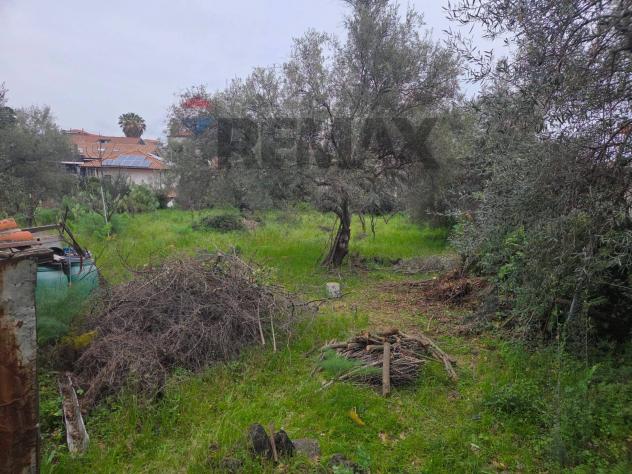 Terreno in vendita a Mascalucia - Foto 6