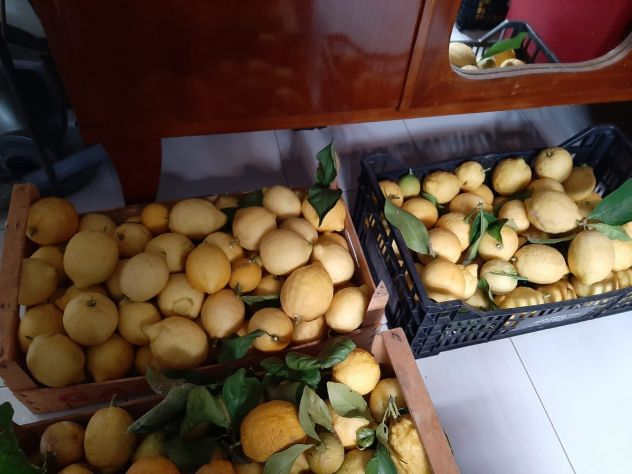 LIMONI BIOLOGICI RIVIERA LIGURE DI LEVANTE - Foto 3