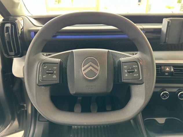 Citroen C3 PureTech 100 S&S You - Foto 7