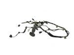 Cablaggio Porta Anteriore Sinistra Renault Clio 4 241241699R - 34823