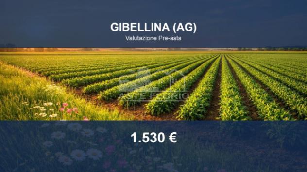 Immobile in asta di 2500 m² in vendita a Gibellina
