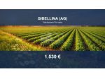 Immobile in asta di 2500 m² in vendita a Gibellina