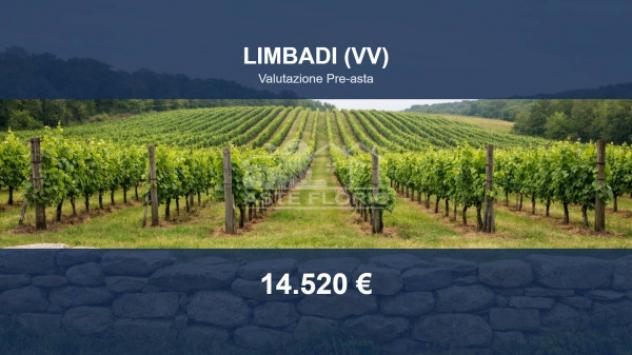 Immobile in asta di 16720 m² in vendita a Limbadi