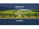 Immobile in asta di 16720 m² in vendita a Limbadi