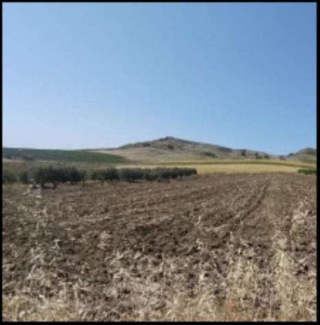 Immobile in asta di 14510 m² in vendita a Monreale - Foto 4