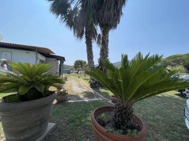 Seminativo in vendita a Orbetello - Foto 20