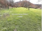 San Piero a Sieve - Caratteristica colonica con terreno