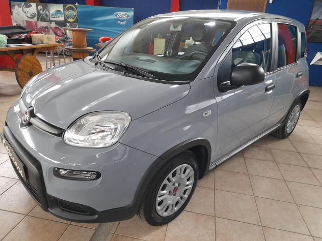 Fiat Panda 1.0 FireFly S&S Hybrid - Foto 2
