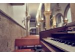 Organista Vigevano
