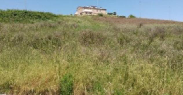 Immobile in asta di 555 m² in vendita a Montegranaro - Foto 3