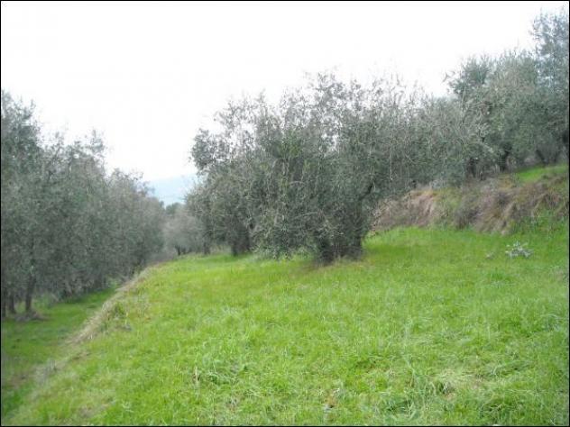 Trifamiliare in vendita a Monsummano Terme - Foto 20