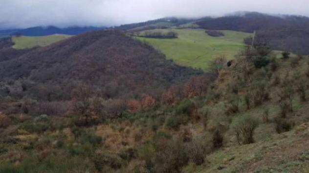 Immobile in asta di 180 m² in vendita a San Mauro Forte - Foto 9
