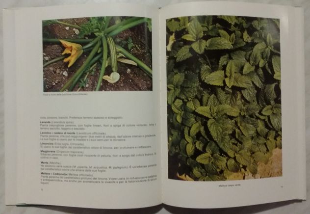 Piante da giardino e da appartamento di Lucio Pugliese Ed.Pugliese, 1985 nuovo - Foto 6