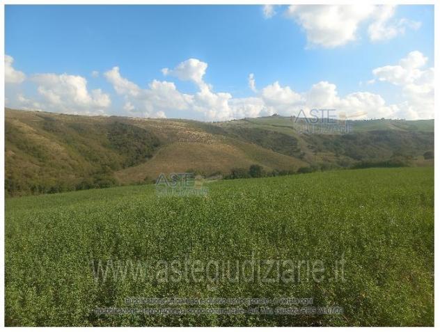 IMMOBILI-ALTRA CATEGORIA-Via Caselle, Mondaino RN, Italia - Foto 7