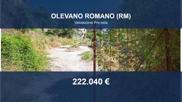 Immobile in asta di 17072 m² in vendita a Olevano Romano