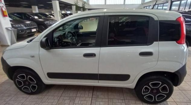 FIAT Panda 0.9 TwinAir Turbo S&S 4x4 Pop Van 2 posti rif. 24108934 - Foto 4