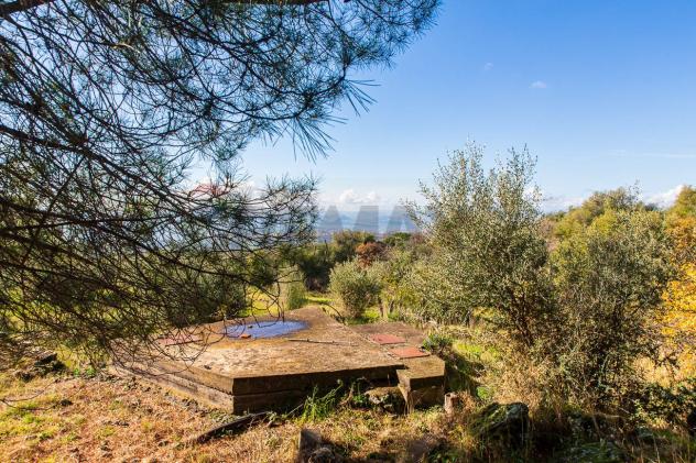 Terreno in vendita a Biancavilla - Foto 19