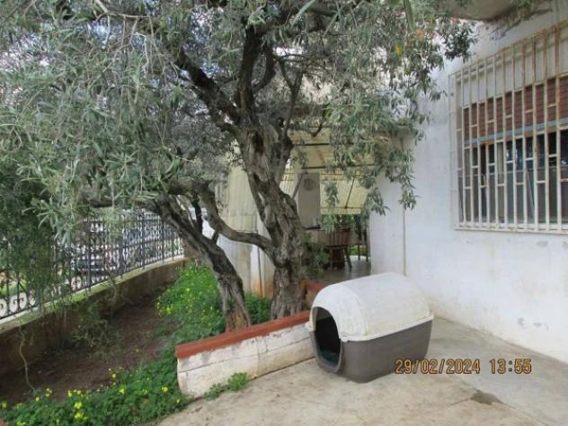 Immobile in asta di 123 m² con più di 5 locali in vendita a Partinico - Foto 4