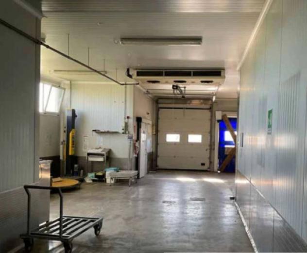 Immobile in asta di 469 m² in vendita a Castel d'Ario - Foto 3