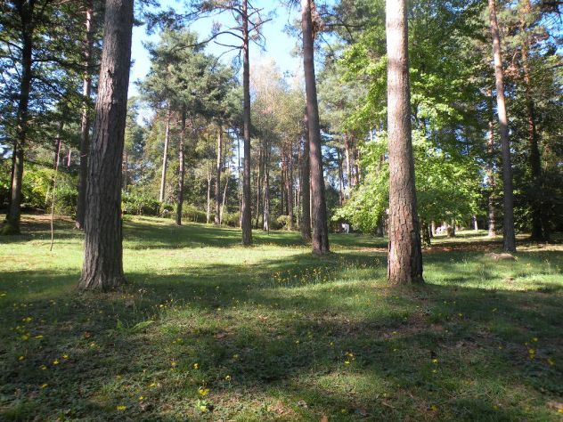 Ulti,o lotto edificabile in un bosco in tutta la Lombardia - Foto 5