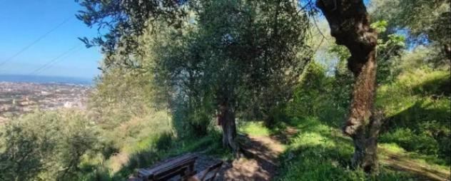 Immobile in asta di 7032 m² in vendita a Massa - Foto 2