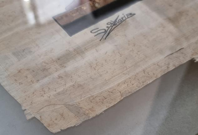 Papiro egiziano originale dell'artista S. Gharib - Foto 3