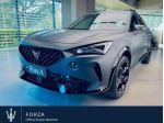 CUPRA Formentor Formentor 1.5 tsi 150cv dsg Tribe Edition rif. 24189191