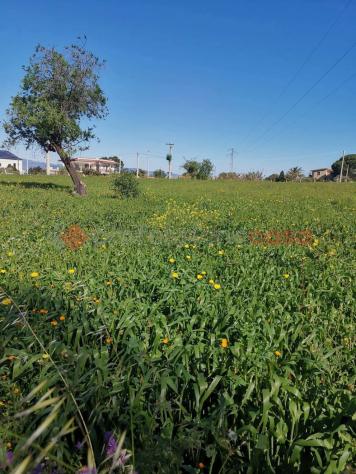 Terreno Agricolo - Reggio di Calabria . Rif.: Cod. rif 3312529VRG - Foto 8
