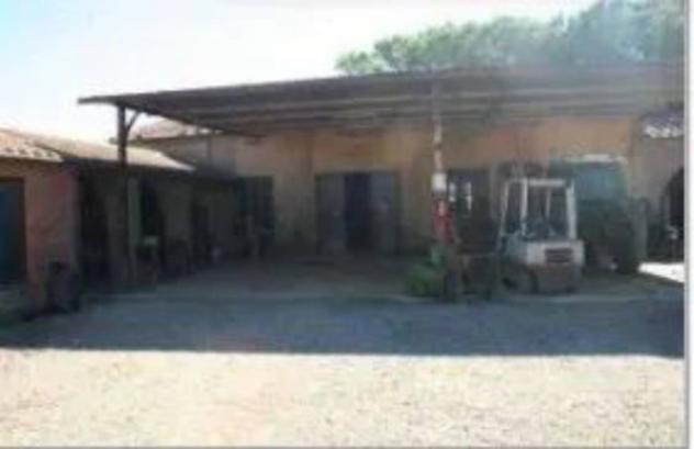 Immobile in asta di 4130 m² in vendita a Gavorrano - Foto 9