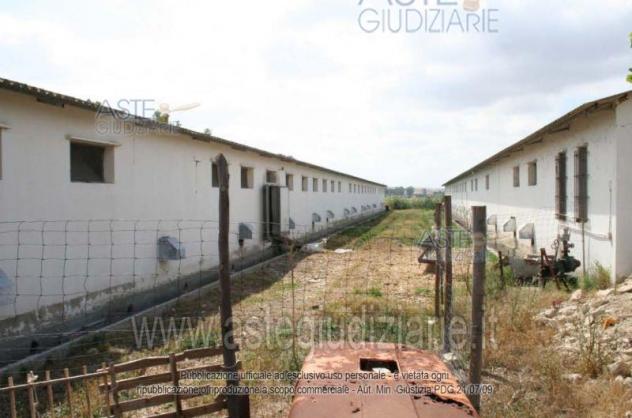 IMMOBILI-IMMOBILE RESIDENZIALE-Località Campu Pauli snc - Foto 2