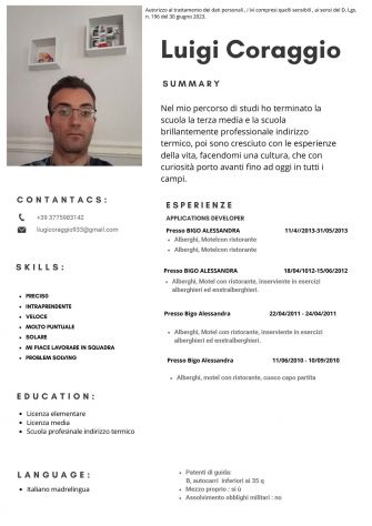 Lavoro da casa per fare curriculum vitae, fare pubblicità sui social, traduzioni - Foto 3