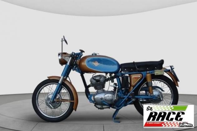 Ducati - 125 SPORT /1 1959 - Foto 2