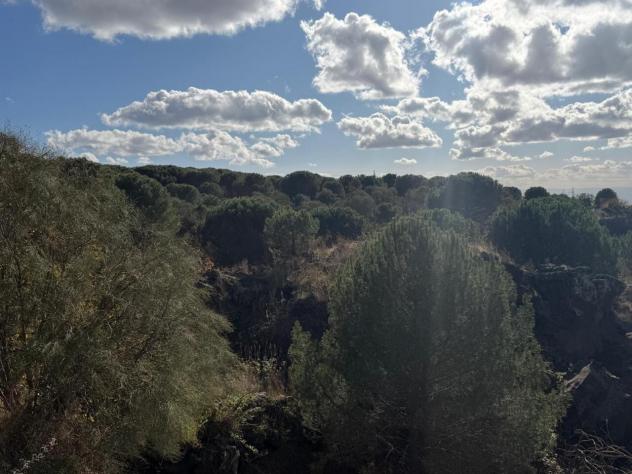 Agricolo in vendita a Nicolosi