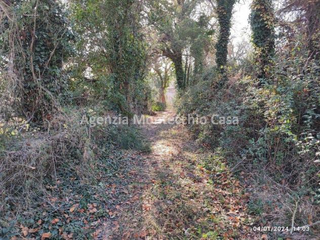 CASA COLONICA CON RICOVERO ATTREZZI, SILOS, TERRENO AGRICOLO E BOSCO - Foto 14