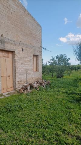 Terreno i mq 15.000 con caseggiato - Foto 4