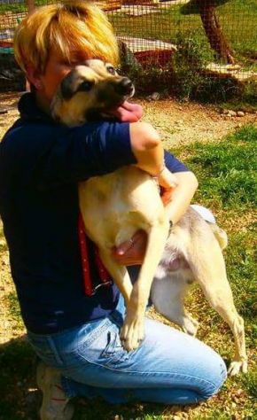 PLUTO in cerca di casa - Foto 2