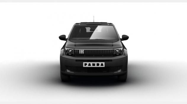 FIAT Grande Panda Benzina Icon 1.2100 Cv